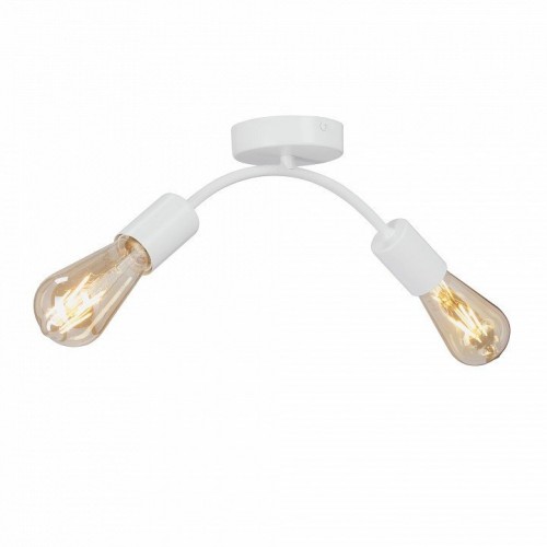 Потолочный светильник Vitaluce V4989-0/2PL Потолочный светильник Vitaluce V4989-0/2PL