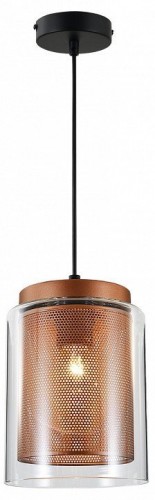 Подвесной светильник Indigo Alleanza 10023/1P Brass