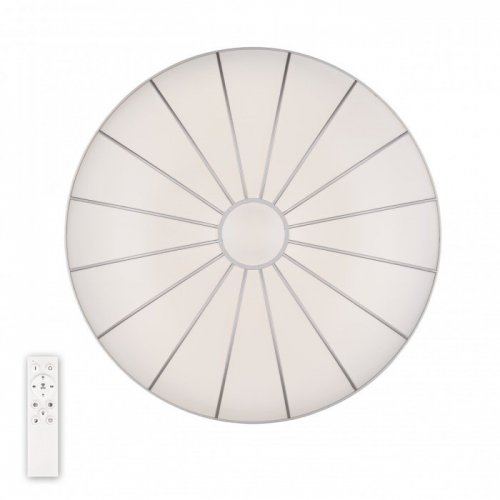 Потолочный светильник Turin 3306.B202-350 Silver