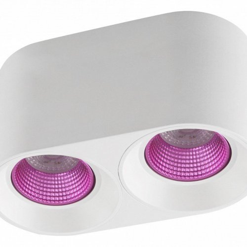 Точечный светильник Denkirs DK3096-WH+PI Точечный светильник Denkirs DK3096-WH+PI