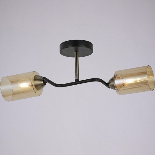 Потолочная люстра Illumico IL8148-2COU-79 BK BR Bice