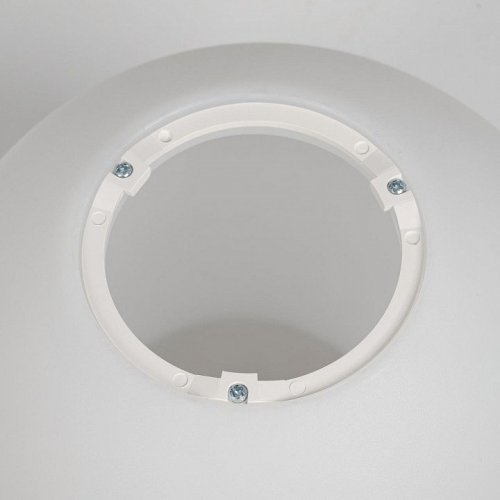 Настенно-потолочный светильник Citilux Ron CL941D20B1
