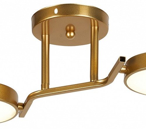 Потолочная люстра Starlight 10273/2LED Потолочная люстра Starlight 10273/2LED