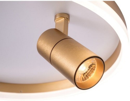 Потолочный светильник Zortes Raizy ZRS.1888.04