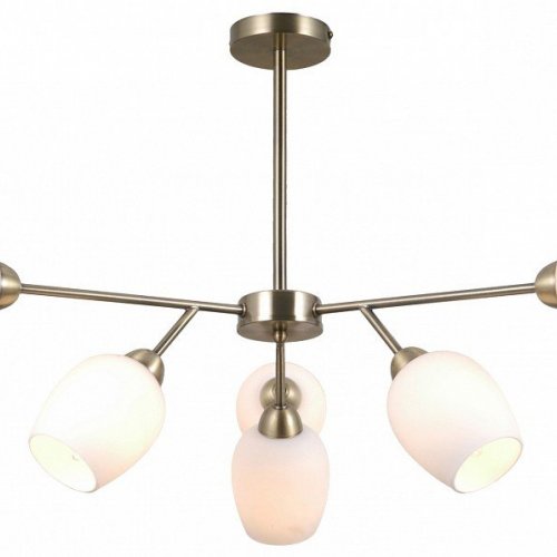 Потолочная люстра Cassy V10820-6C