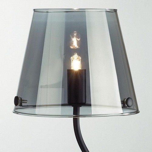 Интерьерная настольная лампа Lumion Smoky 6570/1T