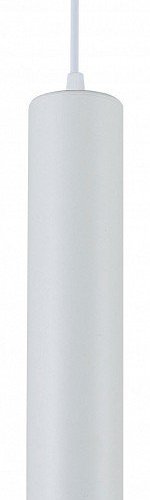 Подвесной светильник SIMPLE STORY 2049 2049-LED10PLW Подвесной светильник SIMPLE STORY 2049 2049-LED10PLW