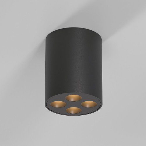 Потолочный светильник Elektrostandard 25111/LED a067484 Потолочный светильник Elektrostandard 25111/LED a067484