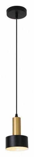 Подвесной светильник Escada 1111/1S Black