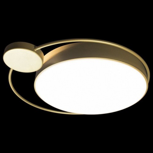 Потолочный светодиодный светильник Loft IT Mike 10063