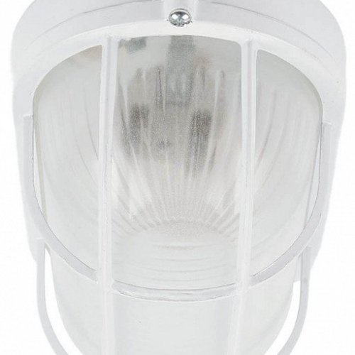 Настенно-потолочный светильник Feron НБП 04-60-002 53172