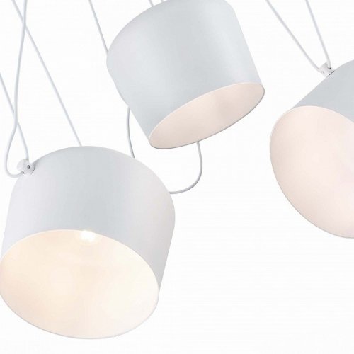 Подвесной светильник Evoluce Trieste SLE120653-05 Подвесной светильник Evoluce Trieste SLE120653-05