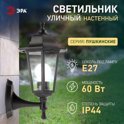 Светильник на штанге Эра  НБУ 06-60-001 черный