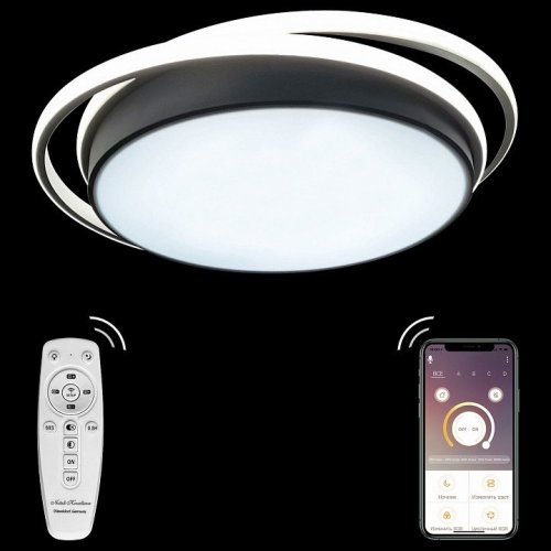 Потолочная люстра Natali Kovaltseva 81038 81038/5C Потолочная люстра Natali Kovaltseva 81038 81038/5C