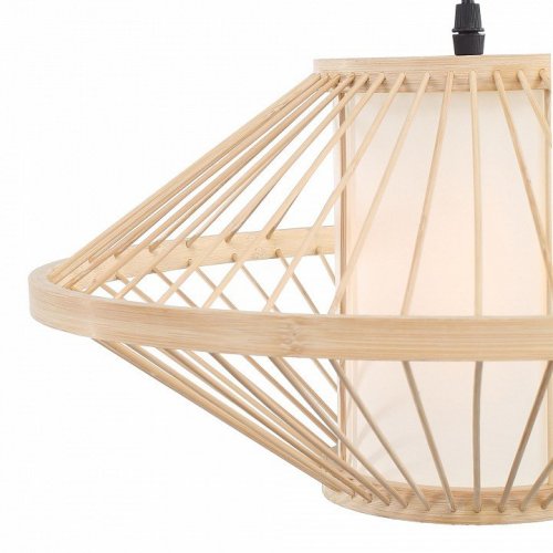 Подвесной светильник ST Luce SL6241.533.01 Подвесной светильник ST Luce SL6241.533.01