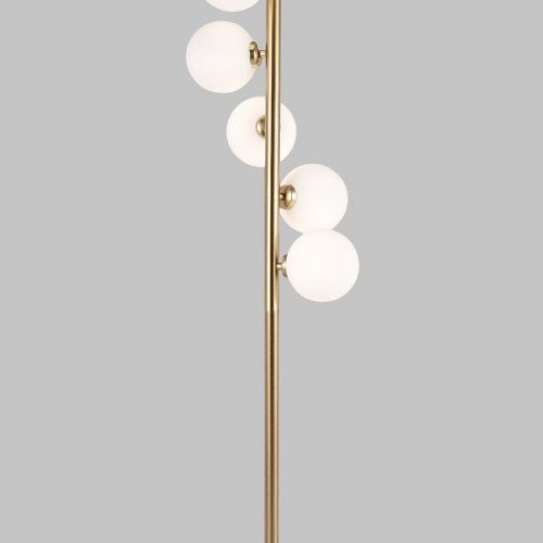 Торшер Alfa Light F1624-25