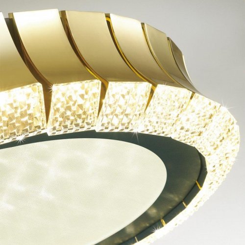 Потолочный светильник Odeon Light Asturo 4994/75L