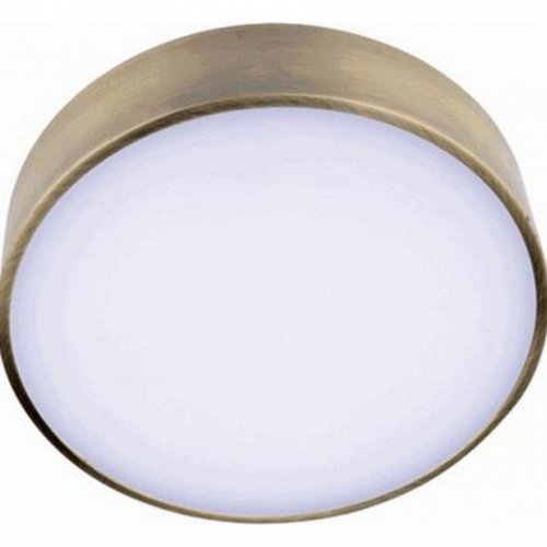 Потолочный светодиодный светильник Aployt Evon APL.0114.29.24