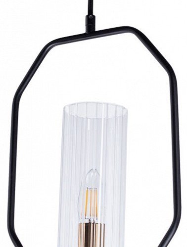 Подвесной светильник Arte Lamp Celaeno A7004SP-1BK