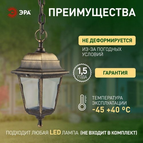 Подвесной светильник Эра  НСУ 04-60-001 бронза