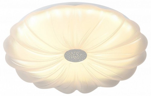 Накладной светильник Эра  SPB-6 Muze 48W-5K WH+CH