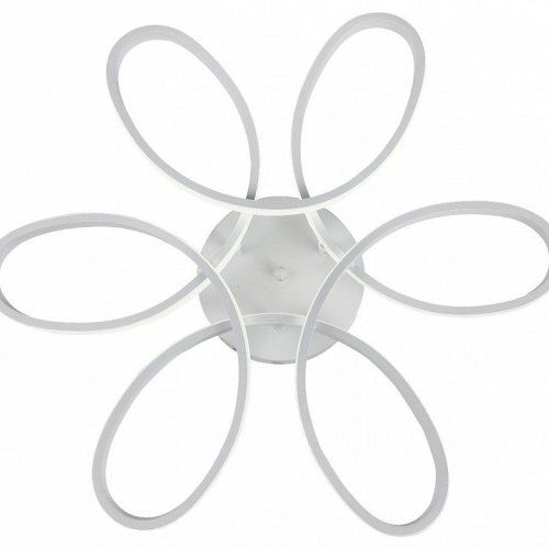 Потолочная люстра Natali Kovaltseva LED LAMPS 81121/6C Потолочная люстра Natali Kovaltseva LED LAMPS 81121/6C