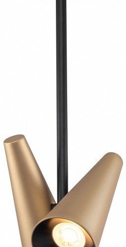 Потолочная люстра Maytoni Giro MOD095CL-02BS