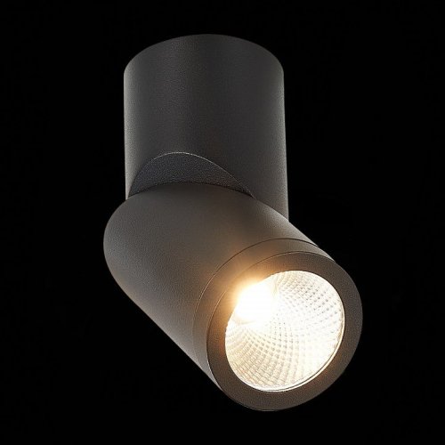 Светодиодный спот ST Luce ST650.432.10