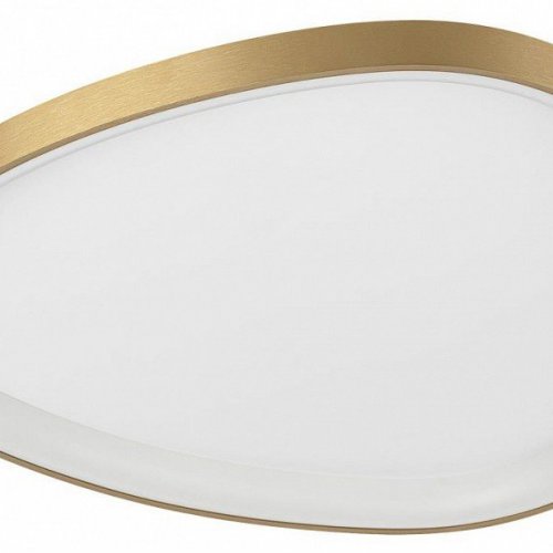 Накладной светильник Citilux GENKA SMART CL756A162