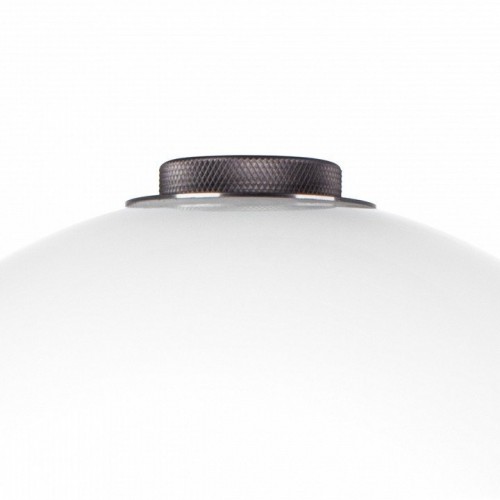 Интерьерная настольная лампа Lightstar Colore 805916