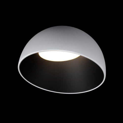 Потолочный светильник Egg 10197/350 WB