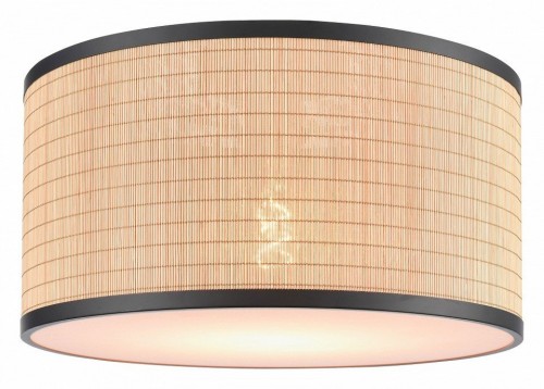 Потолочный светильник Velante 568-717-01