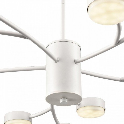 Потолочная люстра Lumion Torina 8265/15 Потолочная люстра Lumion Torina 8265/15