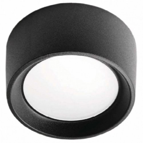 Потолочный светильник Fumagalli уличный Livia 160 3A9.000.000.AXD1L