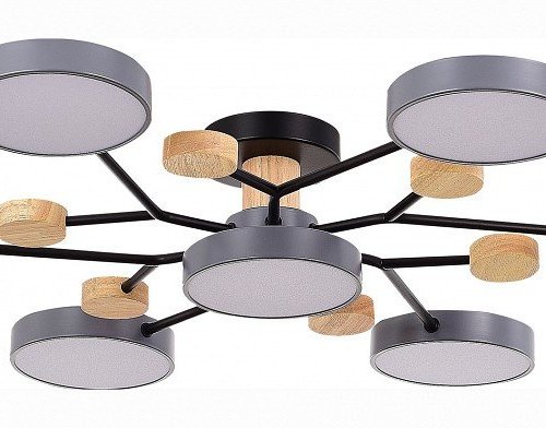 Потолочная люстра EVOLUCE Faema SLE6006-702-07 Потолочная люстра EVOLUCE Faema SLE6006-702-07