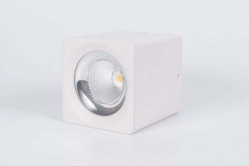 Накладной светильник Fiberli CH-SD220 12120103 Накладной светильник Fiberli CH-SD220 12120103