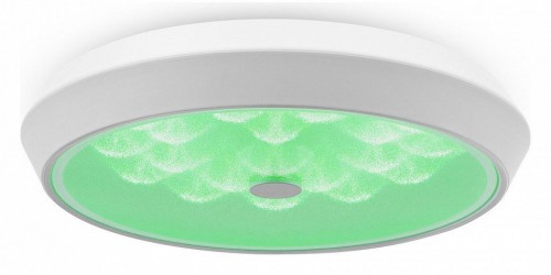 Накладной светильник Freya LED FR10012CL-L24W