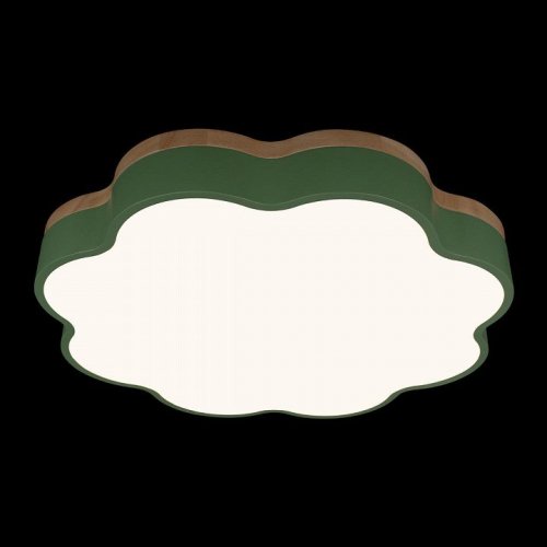 Потолочный светильник Axel 10225/36 Green