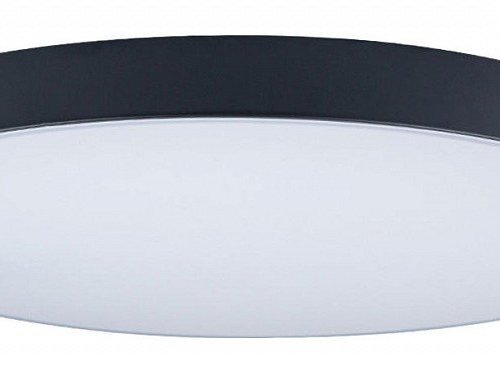 Потолочный светильник Loft IT Axel 10002/48 Black