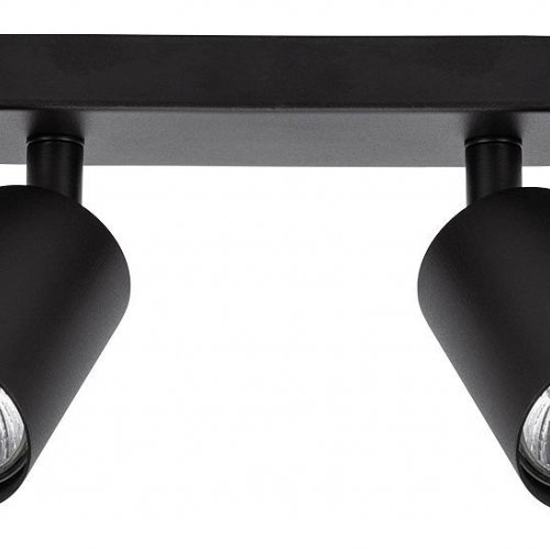 Спот Arte Lamp Aquarius A3226PL-2BK