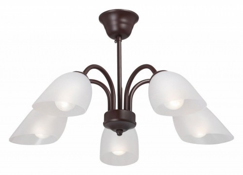 Потолочная люстра Vitaluce V3335-7/5PL