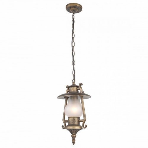 Уличный подвесной светильник Favourite Leyro 1496-1P