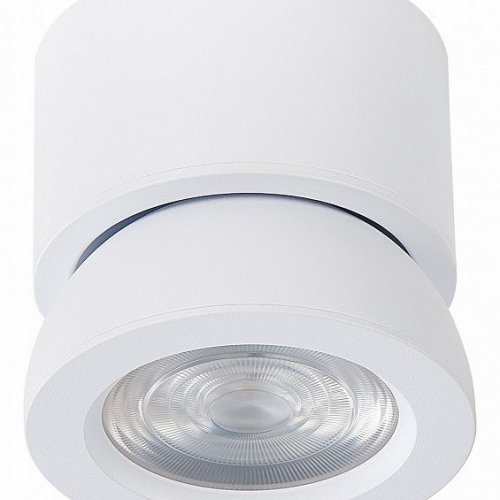 Светодиодный спот ST Luce ST654.542.10 Светодиодный спот ST Luce ST654.542.10
