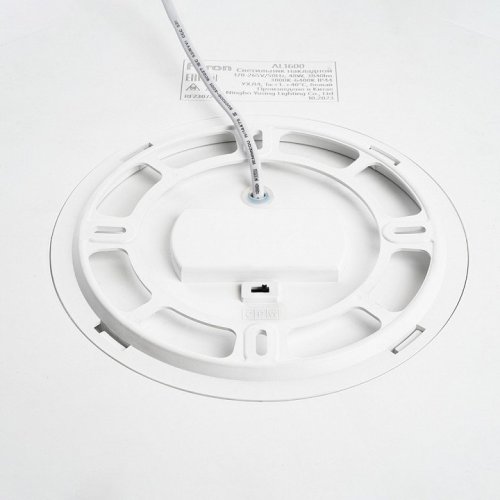 Потолочный светильник Feron 48884