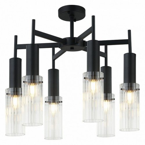 Потолочная люстра Stilfort Wunder 2160/02/06P Потолочная люстра Stilfort Wunder 2160/02/06P