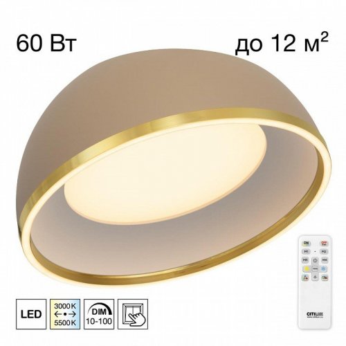 Накладной светильник Citilux FLOOM CL736152