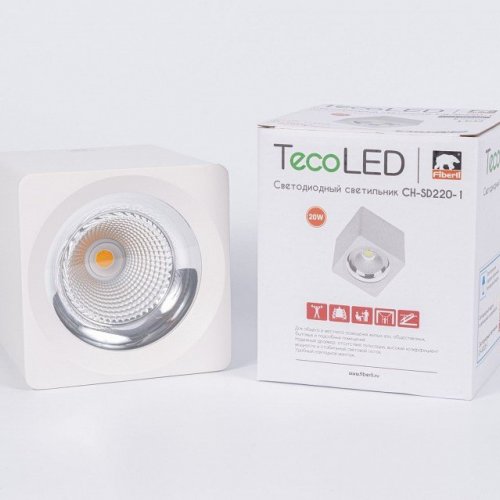 Накладной светильник Fiberli CH-SD220 12120101 Накладной светильник Fiberli CH-SD220 12120101