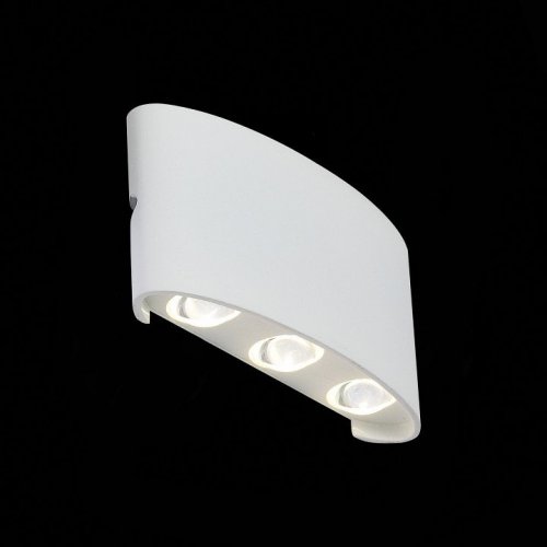 Уличный настенный светодиодный светильник ST Luce Bisello SL089.501.06