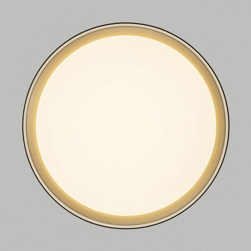 Накладной светильник Citilux BOSS CL751351G