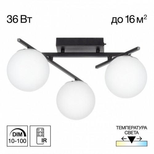 Потолочная люстра Citilux Dorsy CL223132 Потолочная люстра Citilux Dorsy CL223132